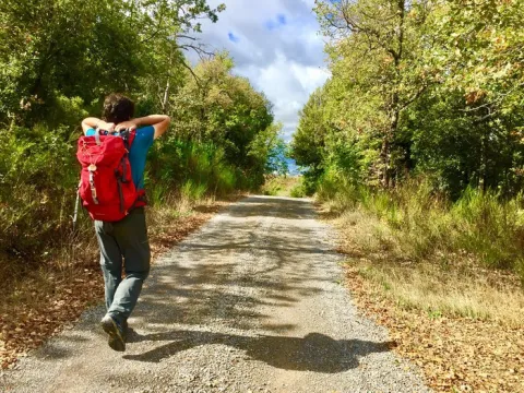 Immagine - Panicale - Camminata delle Ginestre