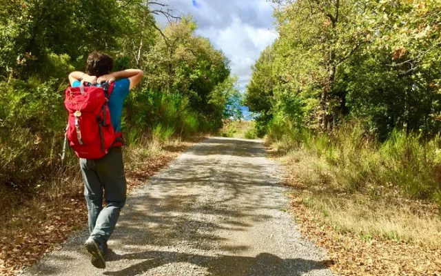 Immagine - Panicale - Camminata delle Ginestre
