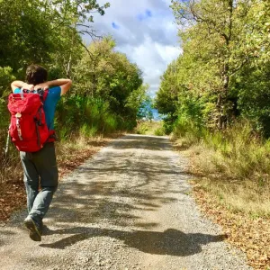 Immagine - Panicale - Camminata delle Ginestre